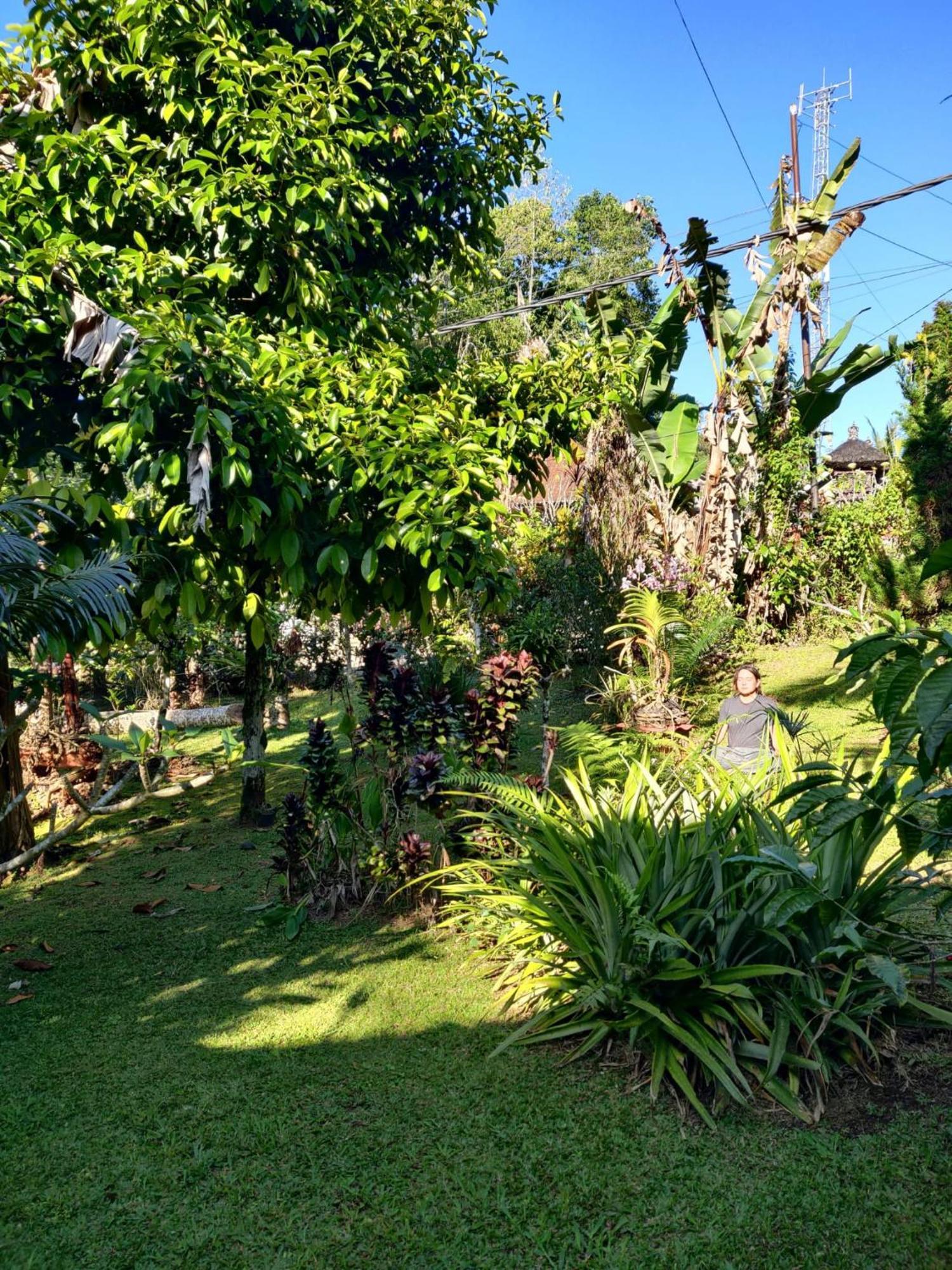 Dina Home Stay At Desa Wisata Wongayagede Jatiluwih Exterior foto
