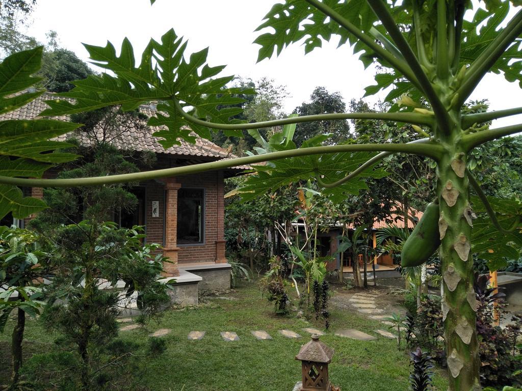 Dina Home Stay At Desa Wisata Wongayagede Jatiluwih Exterior foto